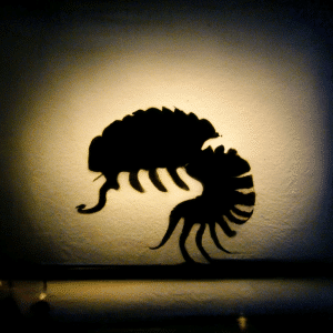 Image for the artificial intelligence animation service showing a trilobite shadow puppet, illustrated by AI