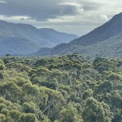 Australia Wilderness in the Grampians in Australia