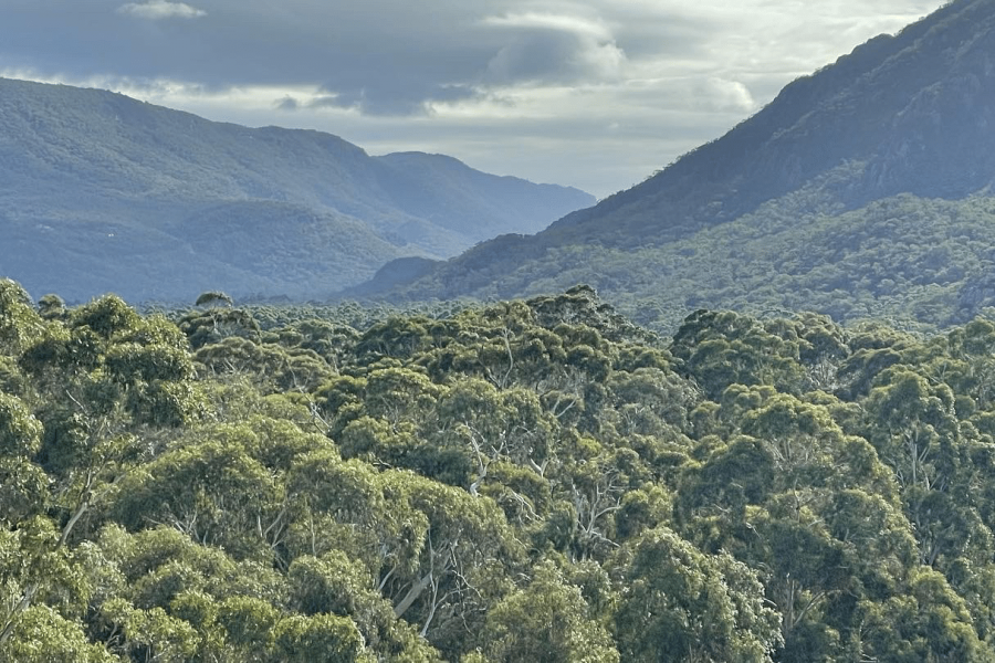 Australia as Home